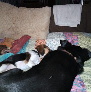 Meet your Posher, Beth